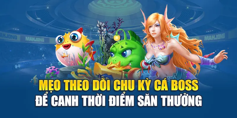 Mẹo theo dõi chu kỳ cá boss để canh thời điểm săn thưởng